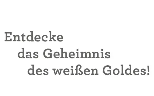 Schriftzug Titel