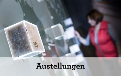 Ausstellungen (Teaser neu Startseite) Ausstellungen (Teaser neu Startseite)