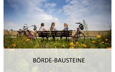 Börde-Bausteine (Teaser neu Bildung und Vermittlung)