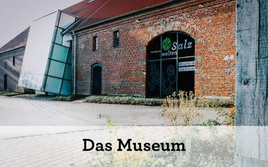Das Museum (Teaser neu Startseite)