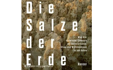 Die Salze der Erde - Buchcover