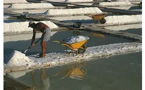 Visions of Salt
