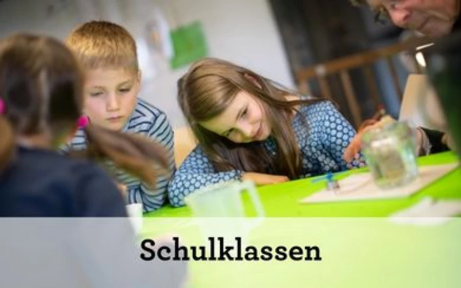 Schulklassen (Teaser neu Das Museum)