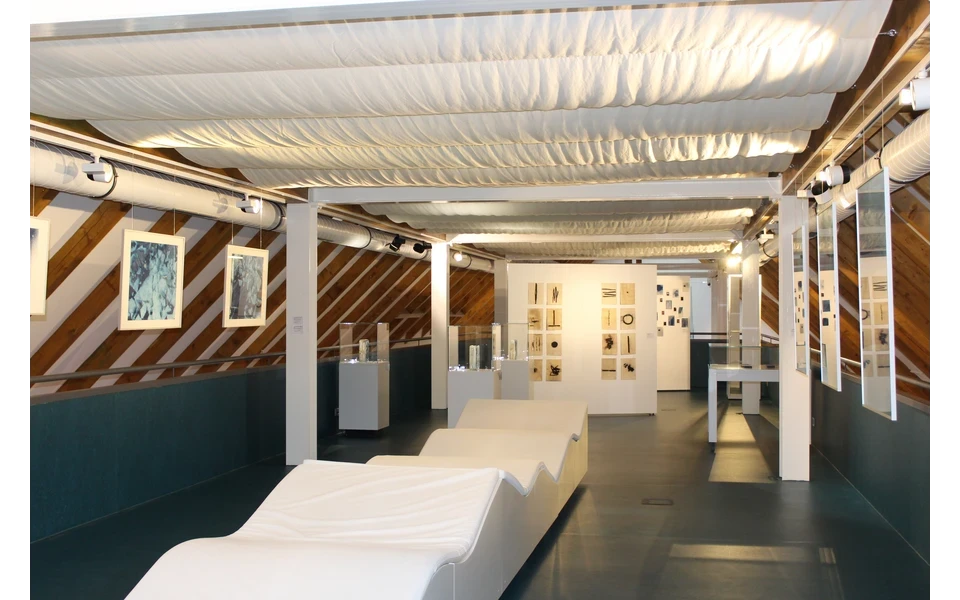 Sonderausstellungen (Hauptmotiv)