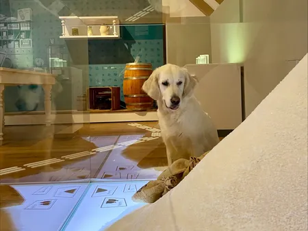 Doggy_Day_Bild