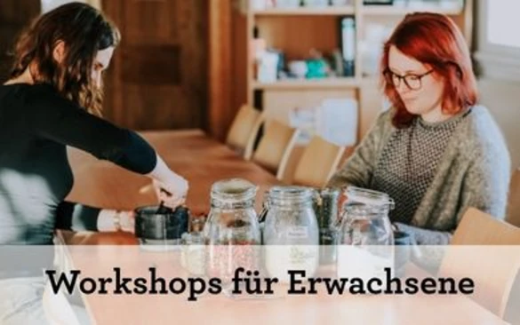 Workshops für Erwachsene (Verweis)