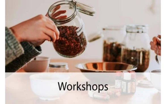 Workshops (Teaser neu Bildung und Vermittlung)