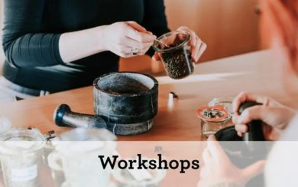 Workshops (Teaser neu Lernen und Erleben)