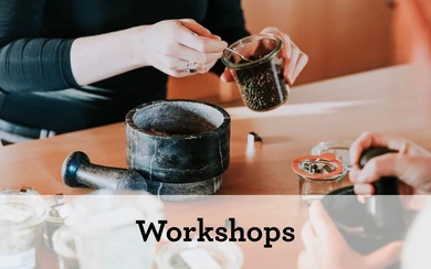 Workshops (Teaser neu Lernen und Erleben)