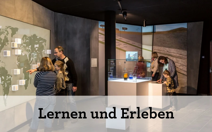 Lernen und Erleben (Teaser neu Das Museum)