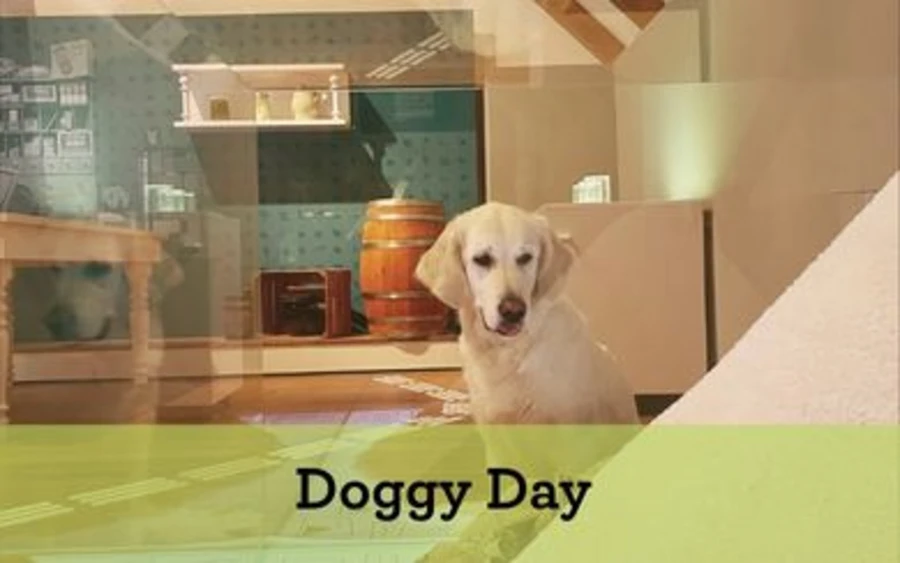 Doggy Day (Verweis)
