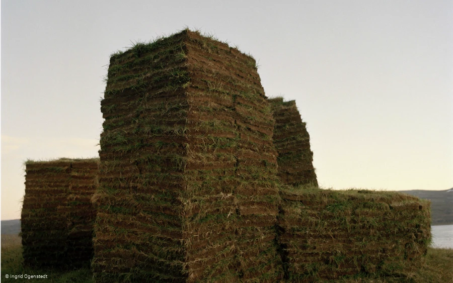 Unearthed Greenshot - Ingrid Ogenstedt