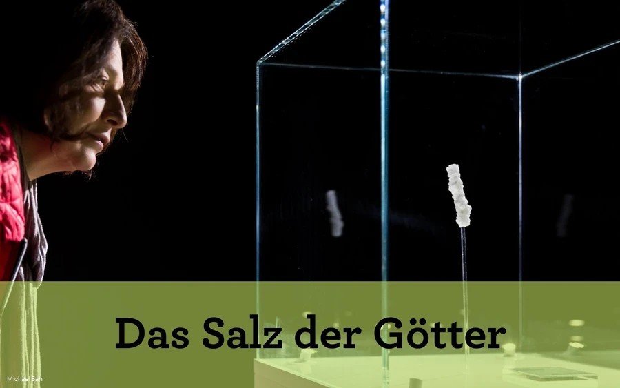 Das Salz der Götter