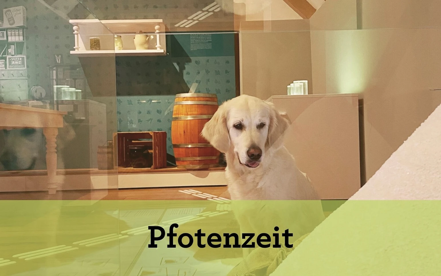 Pfotenzeit (Verweis) Pfotenzeit (Verweis)