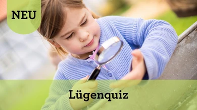 Lügentour (Verweis)