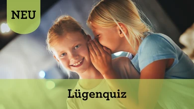 Lügentour (Verweis)