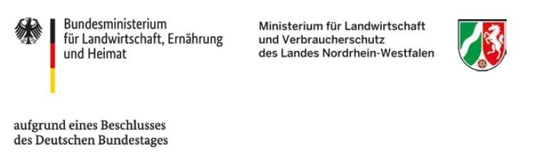 Förderung Leichte Sprache (Bund und Land)