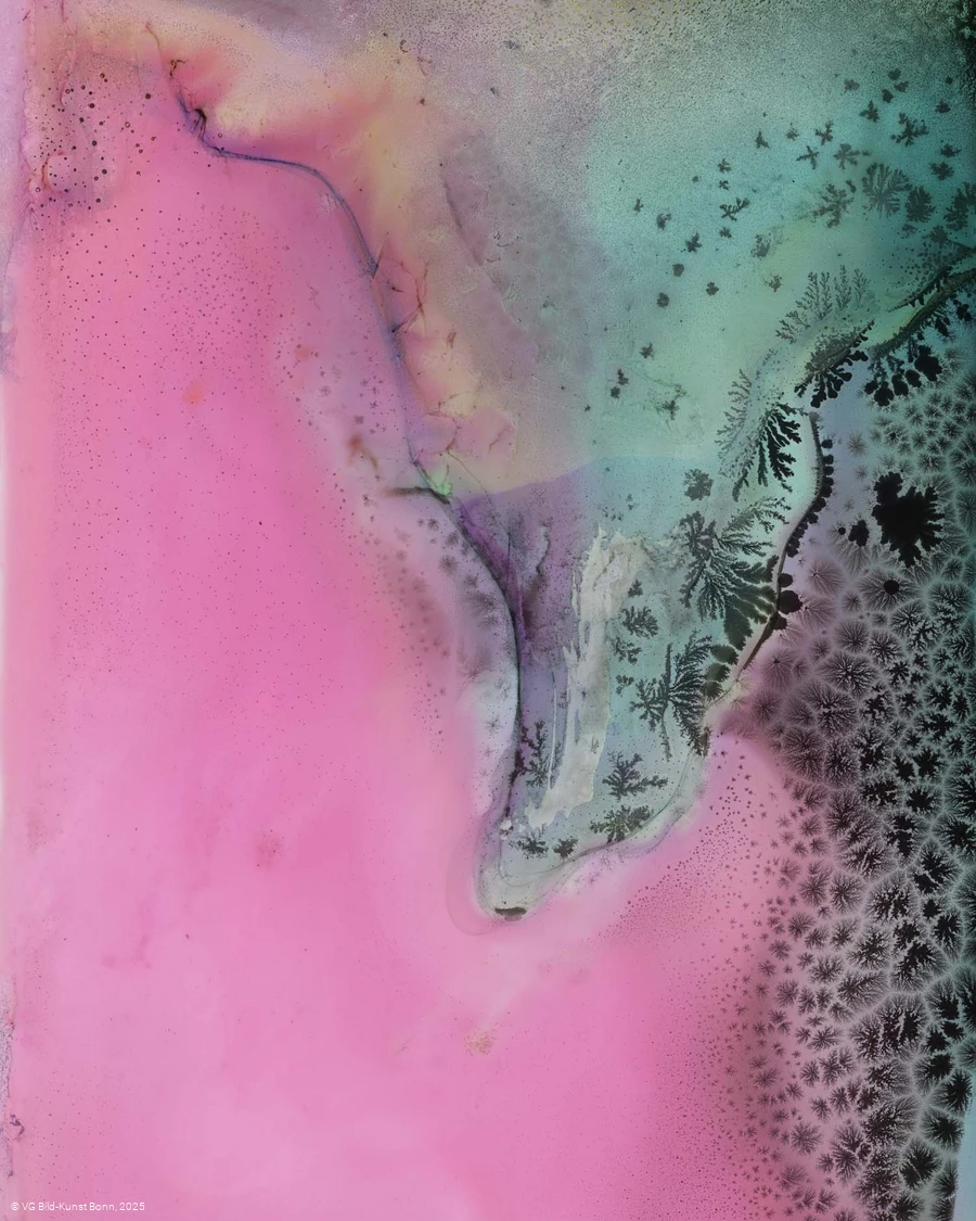 Sonderausstellung KRISTALLINE WELTEN