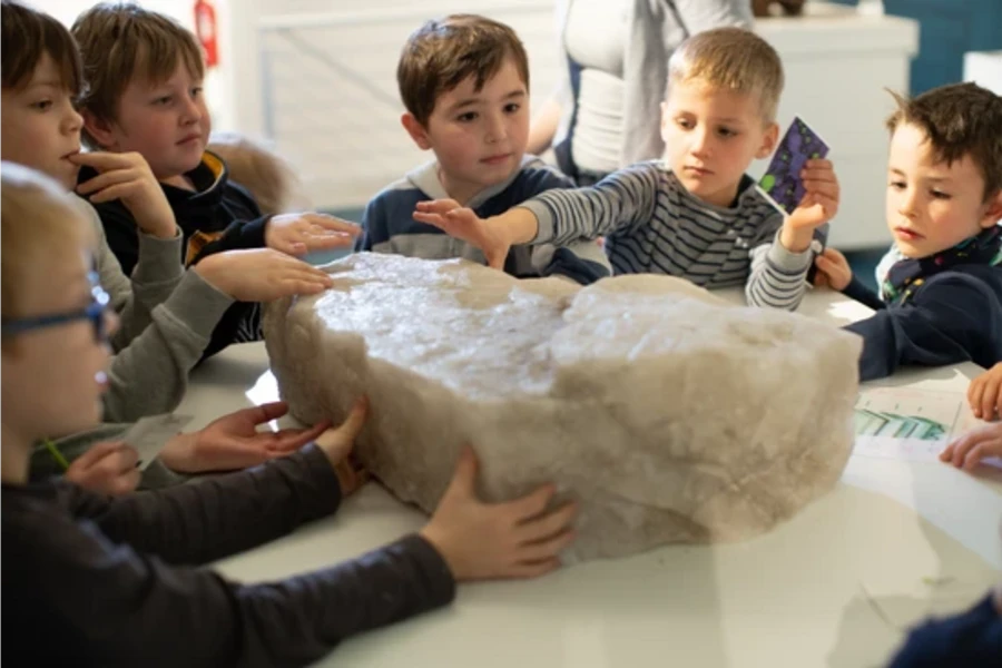 Salz mit allen Sinnen