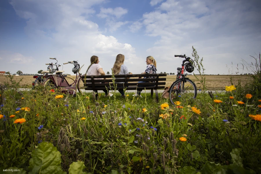 Börde-Bausteine (Titelbild)
