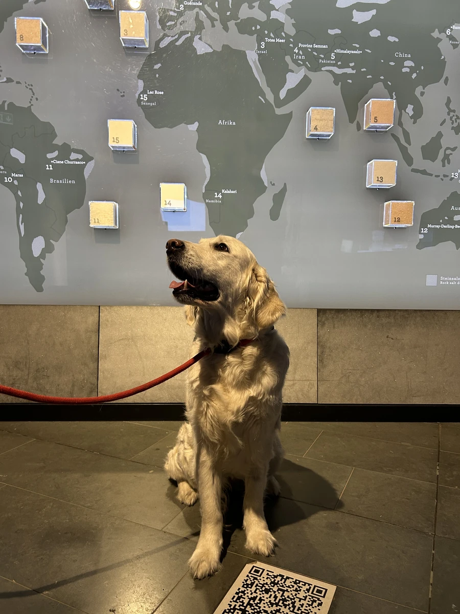 Doggy Day (Bild im Text)