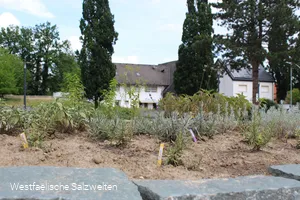 Kräuterspirale