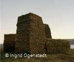 Unearthed Greenshot - Ingrid Ogenstedt