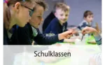 Schulklassen (Teaser neu Das Museum)